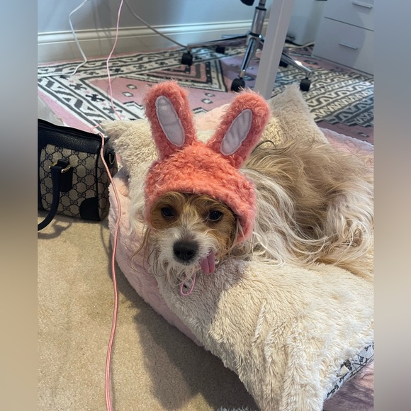 Meet your Posher, “ Mary Michelle “ - Picture 12 of 15